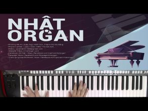 Các Vòng Hòa Âm Phổ Biến Hiện Nay – Nhật Organ