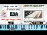 Chúc Mừng Năm Mới (Chia Sẻ Định Hướng Kênh Nhật Organ Trong Năm 2020) – Nhật Organ