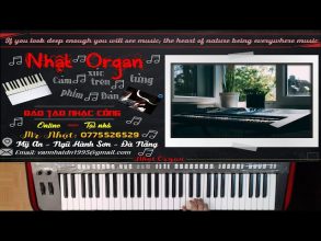 Học Đàn Online – Luyện Ngón Bổ Trợ Cho Những Câu Chạy (Theo Hanol) – Nhật Organ