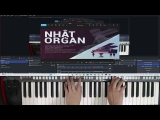 Hướng Dẫn Cách Kết Cho Những Style Phổ Biến – Nhật Organ