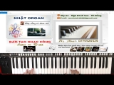 Hướng Dẫn Câu Fills Piano Nghe Rất Chiêu (Mơ Mộng) Trên Điệu Bossanova – Nhật Organ