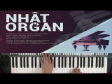 Hướng Dẫn Đệm 1 Bài Điệu ChaChaCha – Nhật Organ
