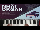 Hướng Dẫn Intro Bài Người Đàn Bà Hóa Đá – Nhật Organ
