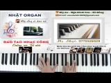 Hướng Dẫn Intro Piano Bài Bông Hoa Đẹp Nhất (Xem là giền) – Học Piano Cùng Nhật Organ Khiếm Thị