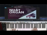 (Hướng Dẫn Organ) Học Đệm Trái Tim Bên Lề – Nhật Organ