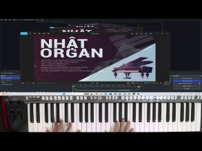 (Hướng Dẫn Organ) Intro Trái Tim Bên Lề – Nhật Organ