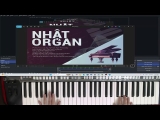(Hướng Dẫn Organ) Solo Nốt Trái Tim Bên Lề – Nhật Organ