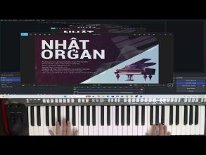 (Hướng Dẫn Organ) Solo Nốt Trái Tim Bên Lề – Nhật Organ
