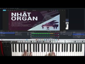 Mẹo Hòa Âm Đi Nữa Cung Giúp Bạn Đệm Hát Hay Hơn – Nhật Organ