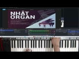 Sự Khác Biệt Giữa Rhumba Và Bolero – Chia Sẻ Nhật Organ