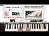 Tìm Hiểu Về Cấu Tạo Của Bộ Trống – Cách Fills Trống Trên Organ (Phần 1) – Nhật Organ Khiếm Thị