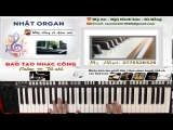 Tối Thiểu Một Nhạc Công Ra Nghề Thì Phải Chơi Đàn Được Bao Nhiêu Tone – Nhật Organ Khiếm Thị